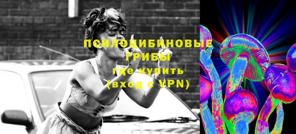 PSILOCYBIN Армянск