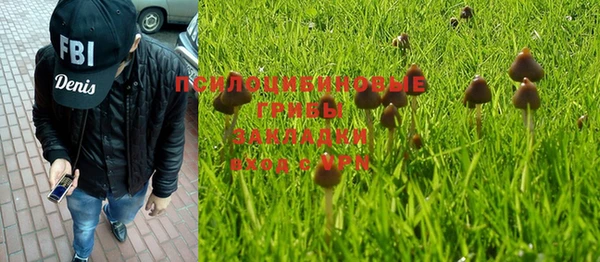 бутират Арсеньев