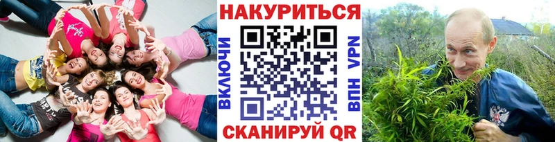 Бошки марихуана марихуана  купить  цена  Сосновоборск 